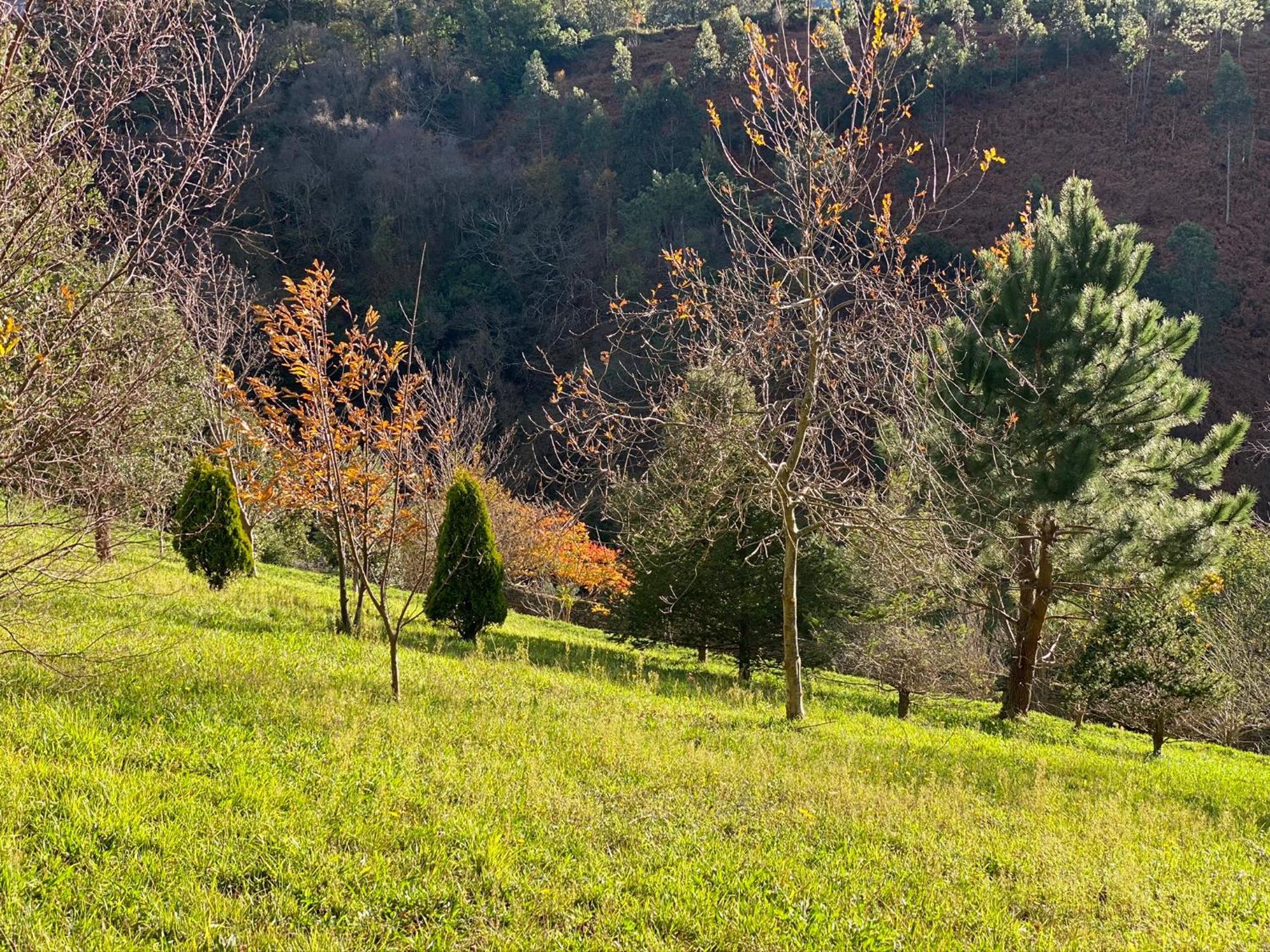Finca Portizuelo Luarca Exterior photo